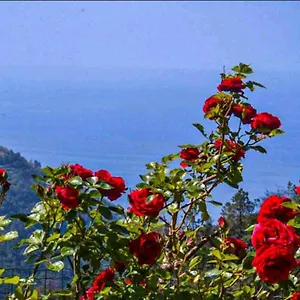 Ca Du Bene Vernazza